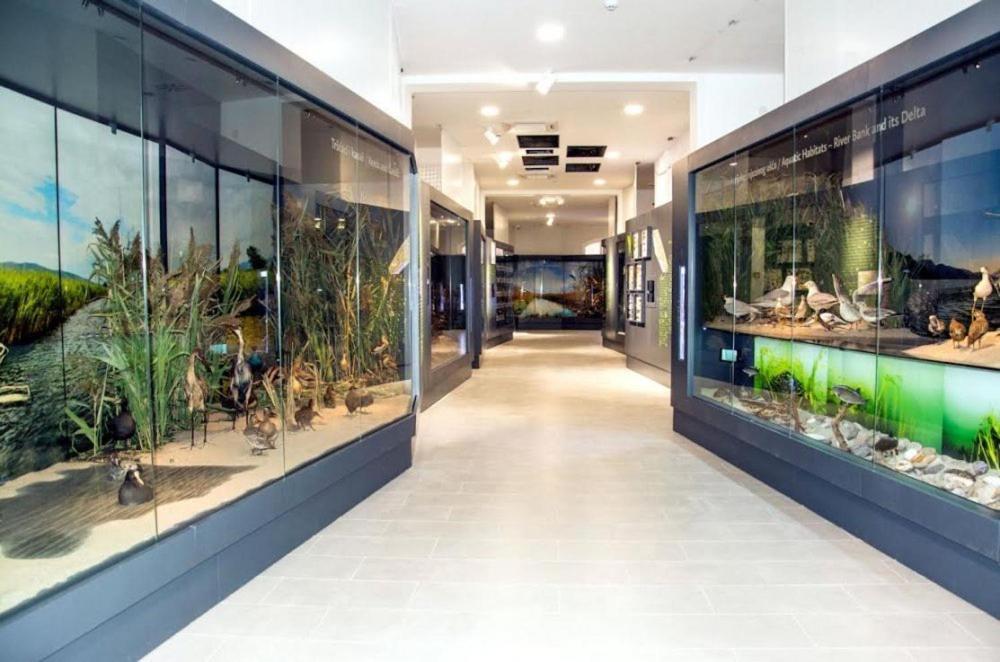 Apartmani More Komarna Dış mekan fotoğraf