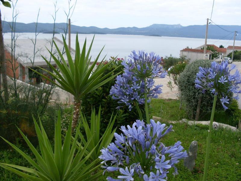 Apartmani More Komarna Dış mekan fotoğraf
